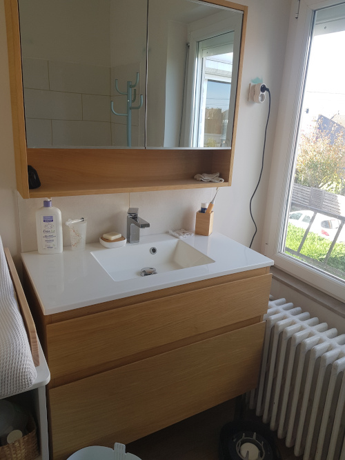 meuble vasque de la salle de bain